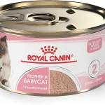 Harga Royal Canin Mother and Baby Cat dan Saran Penyajiannya