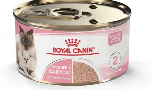 Harga Royal Canin Mother and Baby Cat dan Saran Penyajiannya