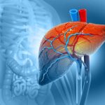 Penyebab Kerusakan Hati yang Sering Diabaikan Sehari Hari