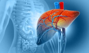 Penyebab Kerusakan Hati yang Sering Diabaikan Sehari Hari